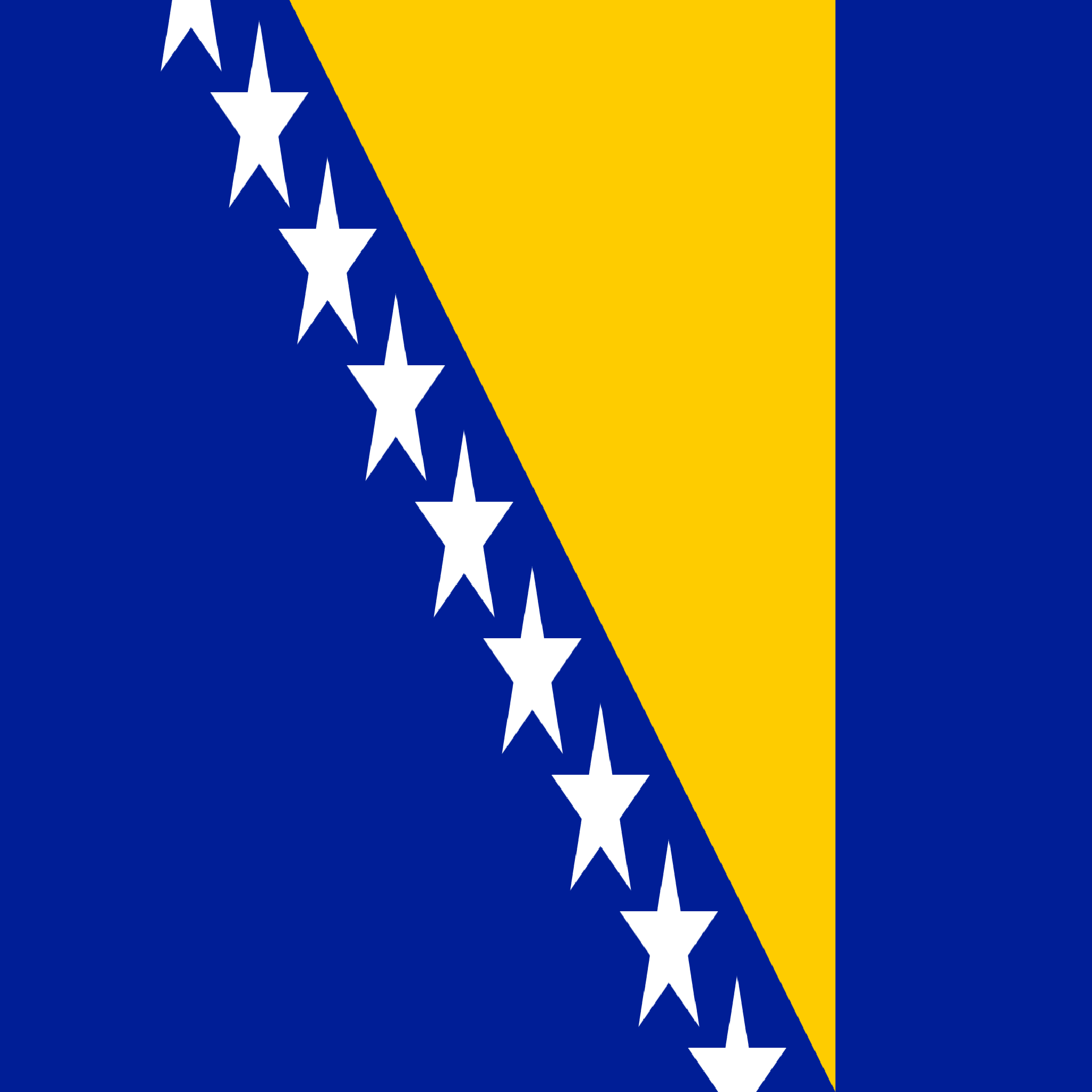 Texture for BOSNIen