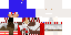 Texture for Sonic