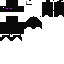 Texture for Ender Bat