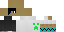 Texture for sdf