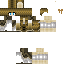Texture for Medieval Librarian