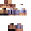 Texture for The_Wiser