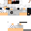 Texture for Jaiir