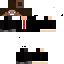 Texture for Sphinx castgame[edit]