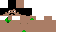 Texture for Zé Bigodão