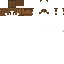 Texture for ds