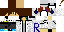 Texture for ryu1