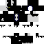 Texture for mineskini