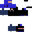 Texture for the polus 