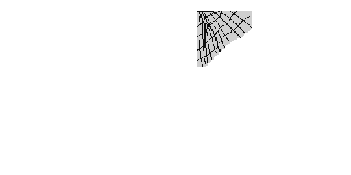 Texture for web wings