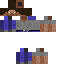 Texture for steve