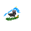 Texture for Bunny Paper