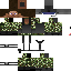 Texture for steave 01 b