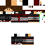 Texture for Basbird christmas2