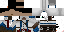 Texture for Assassin