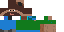 Texture for AC28