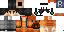 Texture for a skin