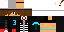 Texture for erik