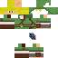 Texture for Link