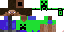 Texture for stevecreeper