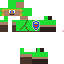 Texture for Link