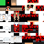 Texture for ZeRo2542911