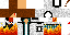 Texture for 0022111