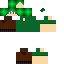 Texture for Jr Pheenix