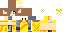 Texture for sun bird