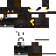 Texture for NINJA