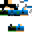 Texture for pinto