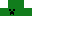 Texture for Creeper Head Simple