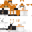 Texture for mc skin