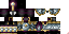 Texture for Paladin of Light