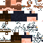 Texture for 2029