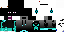 Texture for ender