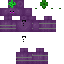 Texture for Grape rob 2