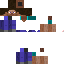 Texture for Steve