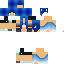 Texture for Meifwa Holly