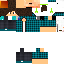 Texture for alvin010