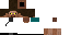 Texture for steve