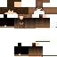 Texture for Sahkkan