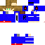 Texture for rogue099
