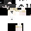 Texture for 454