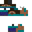 Texture for Steve ·on steve