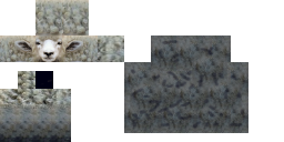 Texture for ovelha realista