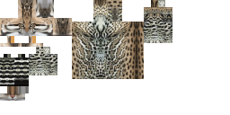 Texture for кот