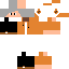 Texture for pro55775
