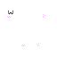 Texture for cat bongo