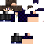 Texture for MetMax Beter
